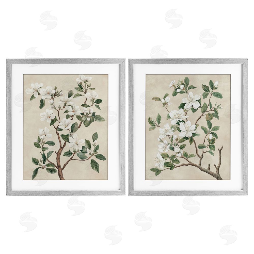 Petal Prints Design Vintage White Floral Blossomed Trees Gray Framed Print Under Glass with White Mat Wall Art
