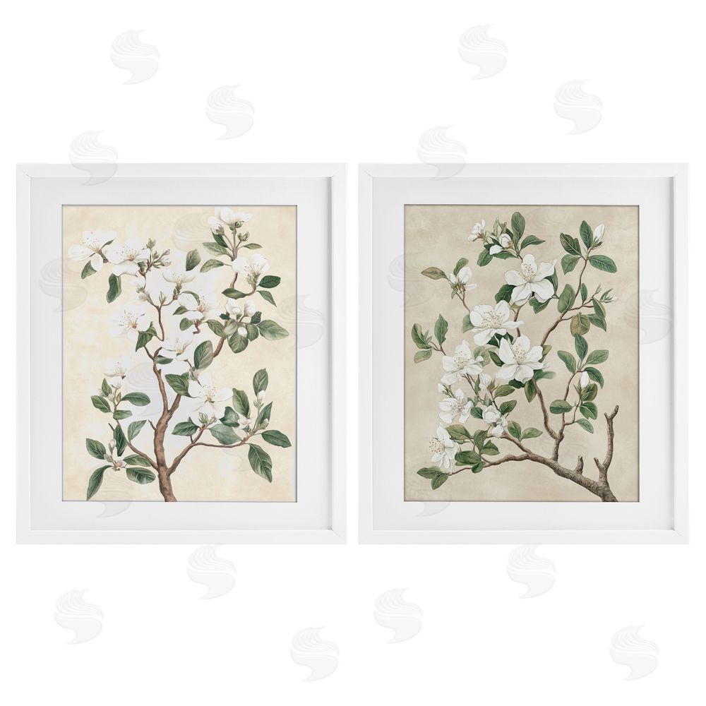 Petal Prints Design Vintage White Floral Blossomed Trees White Framed Print Under Glass with Mat Wall Art