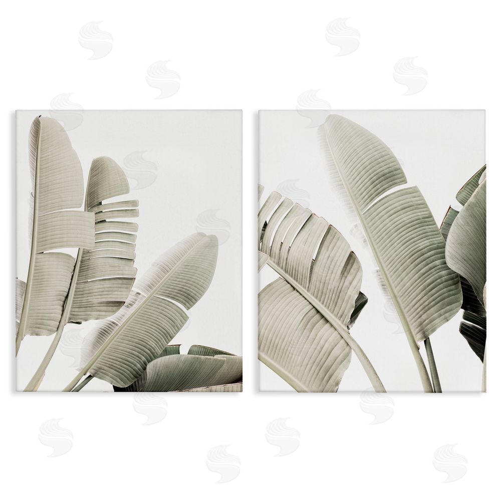 Sisi and Seb Muted Green Banana Leaves Canvas Wall Art Print