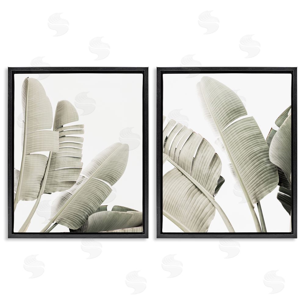 Sisi and Seb Muted Green Banana Leaves Black Floating Frame Canvas Wall Art Print