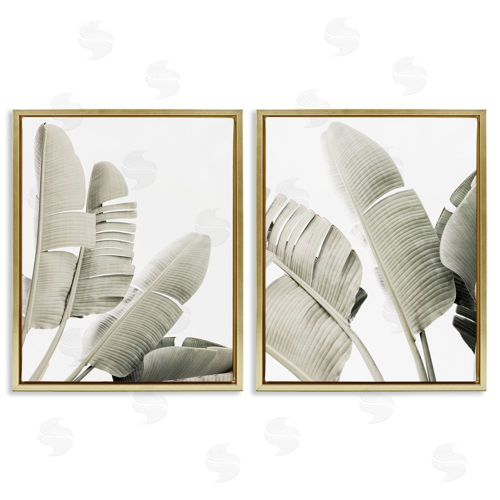 Sisi and Seb Muted Green Banana Leaves Gold Floating Frame Canvas Wall Art Print