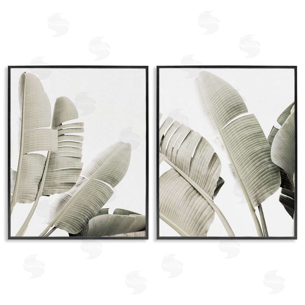 Sisi and Seb Muted Green Banana Leaves Black Framed Giclee Wall Art Print