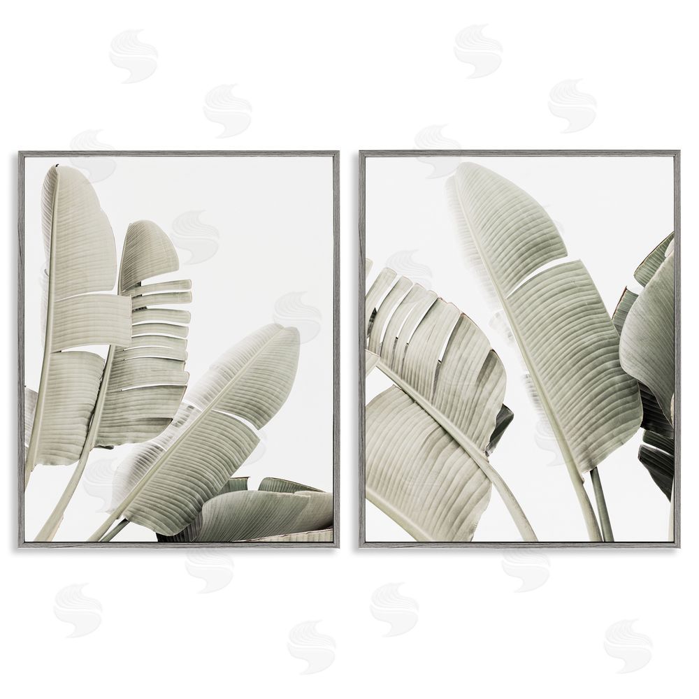 Sisi and Seb Muted Green Banana Leaves Gray Framed Giclee Wall Art Print