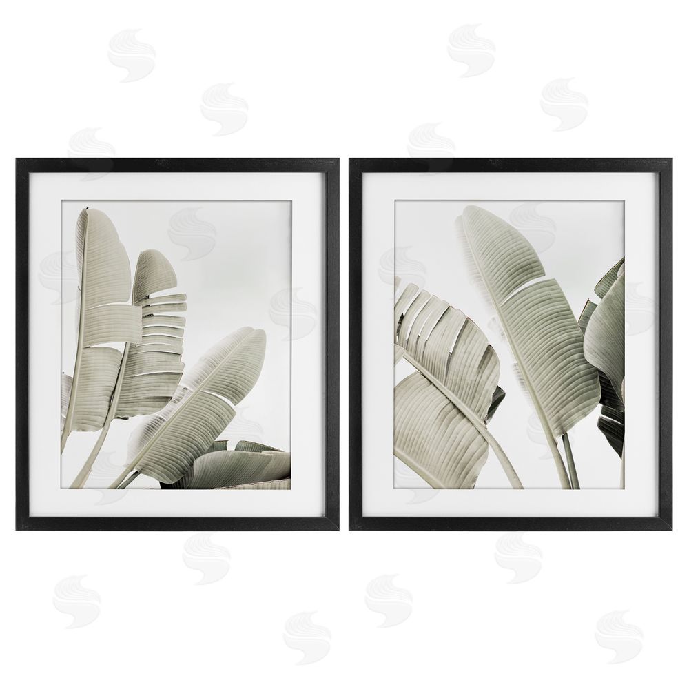 Sisi and Seb Muted Green Banana Leaves Black Framed Print Under Glass with White Mat Wall Art