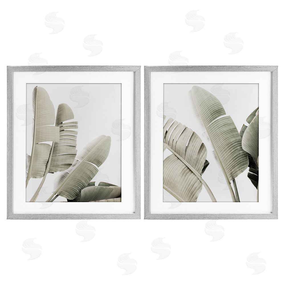 Sisi and Seb Muted Green Banana Leaves Gray Framed Print Under Glass with White Mat Wall Art