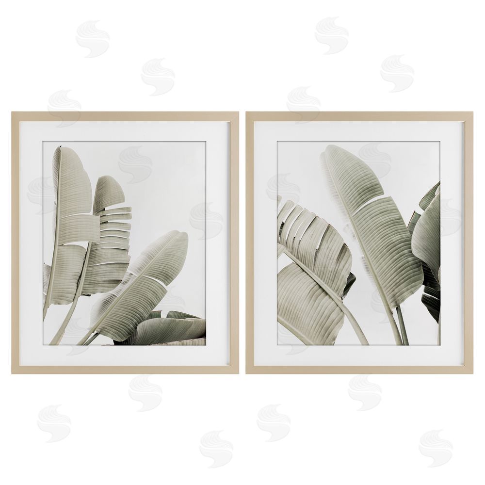 Sisi and Seb Muted Green Banana Leaves Birch Framed Print Under Glass with White Mat Wall Art
