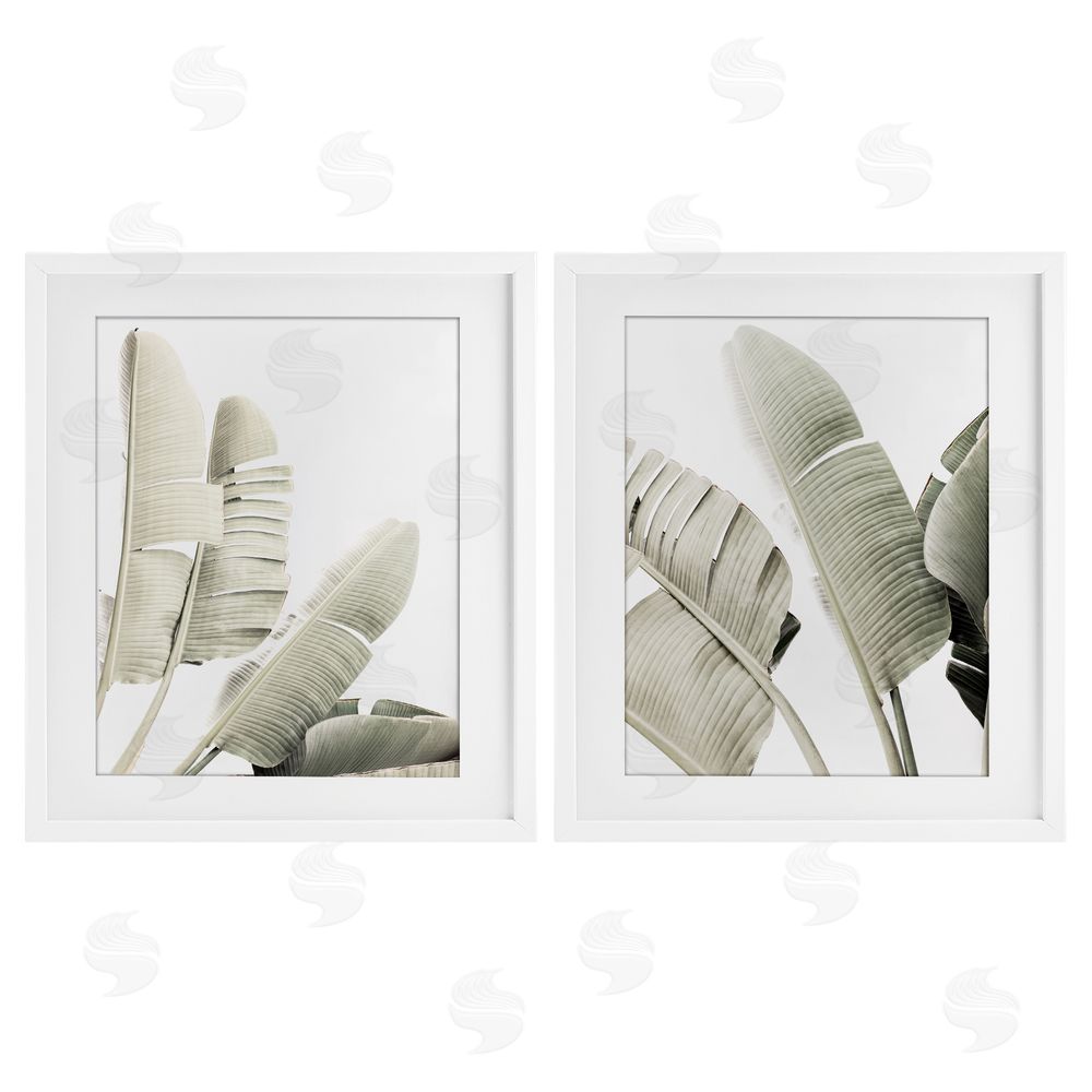 Sisi and Seb Muted Green Banana Leaves White Framed Print Under Glass with Mat Wall Art