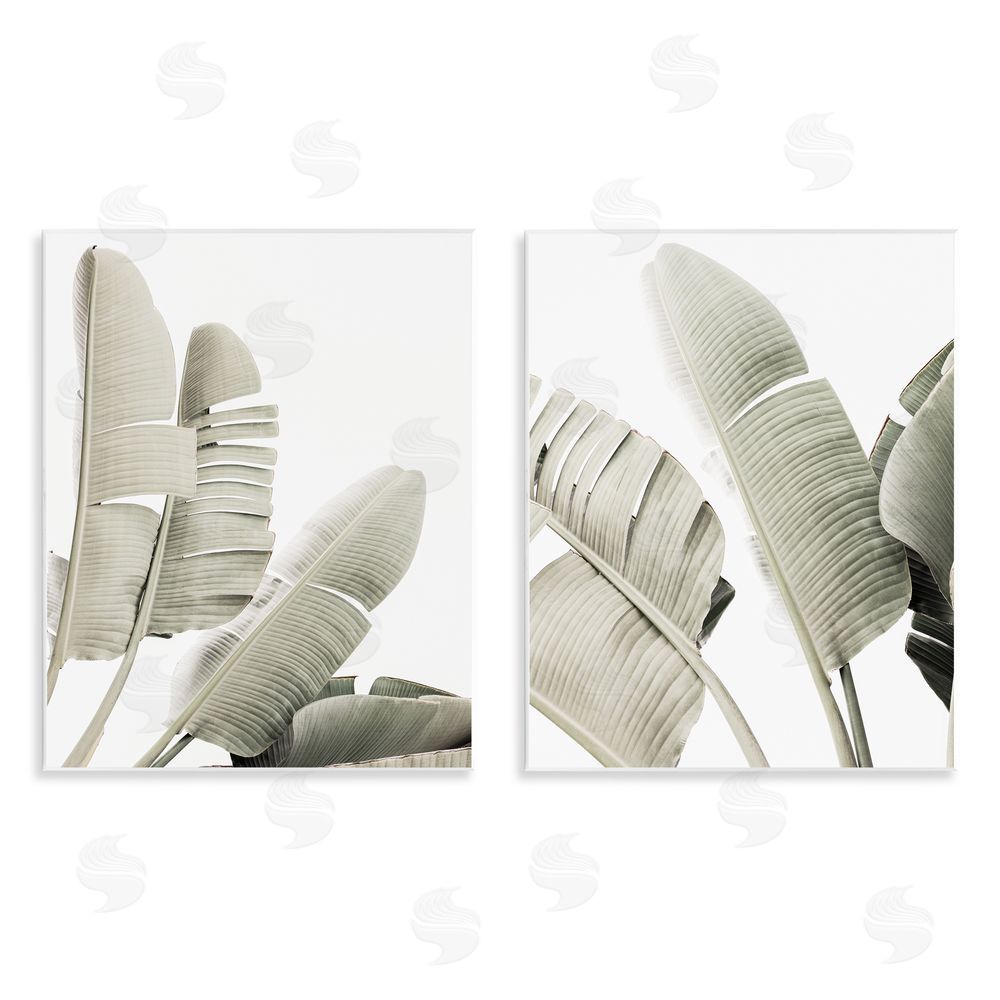 Sisi and Seb Muted Green Banana Leaves Wall Plaque Art Print