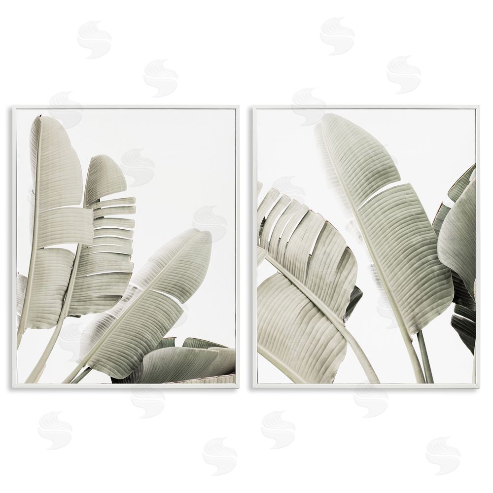 Sisi and Seb Muted Green Banana Leaves White Framed Giclee Wall Art Print