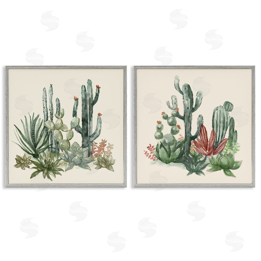 Nan Mojave Desert Cacti Gray Framed Giclee Art Set