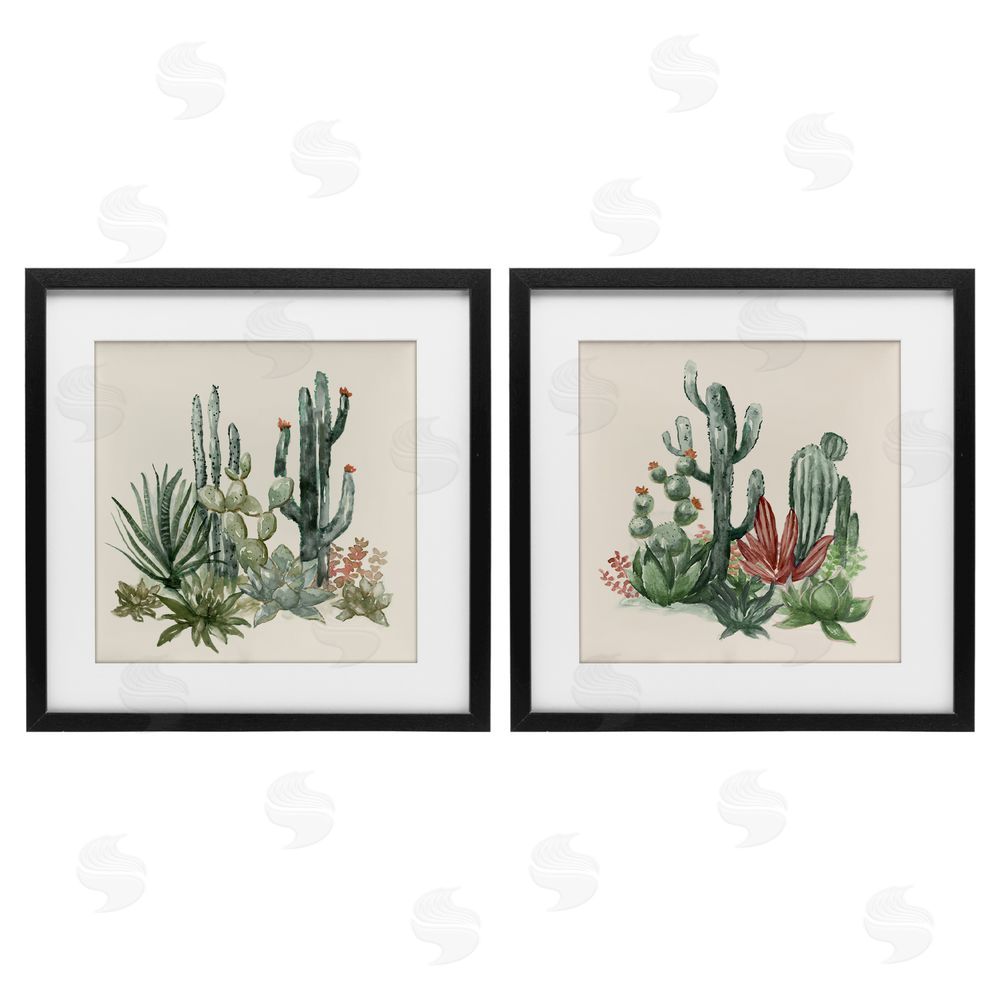 Nan Mojave Desert Cacti Black Framed Print Under Glass Set