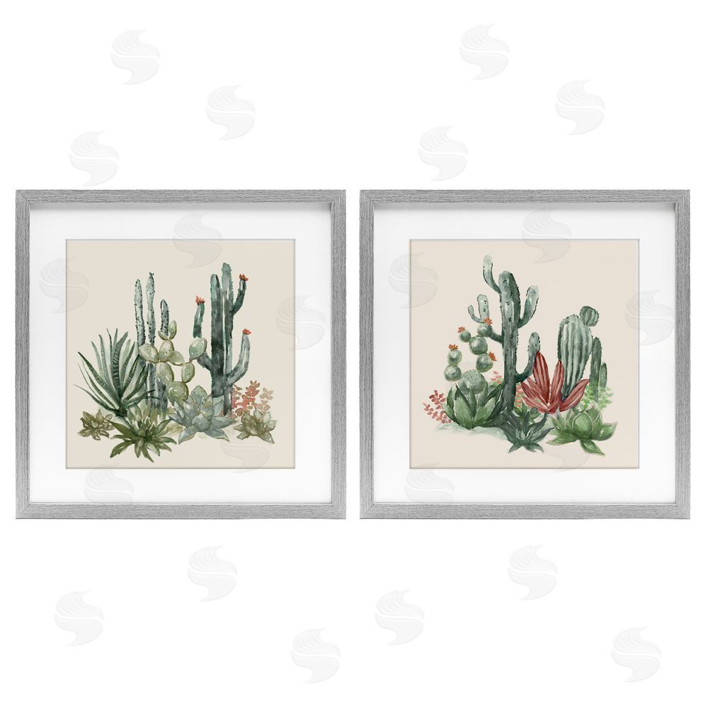 Nan Mojave Desert Cacti Gray Framed Print Under Glass Set