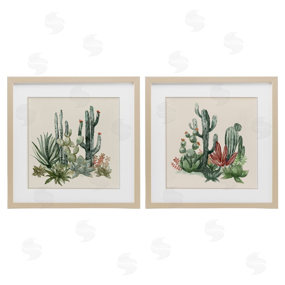 Nan Mojave Desert Cacti Birch Framed Print Under Glass Set