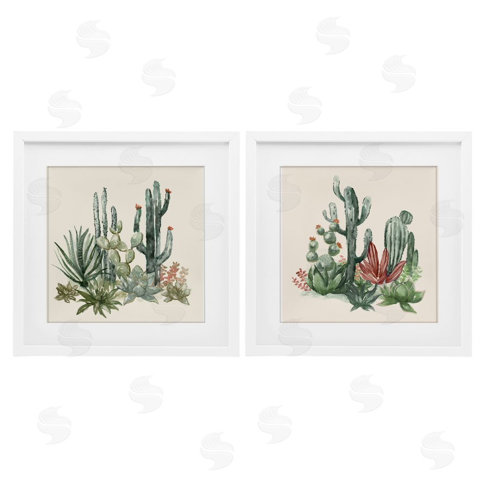 Nan Mojave Desert Cacti White Framed Print Under Glass Set