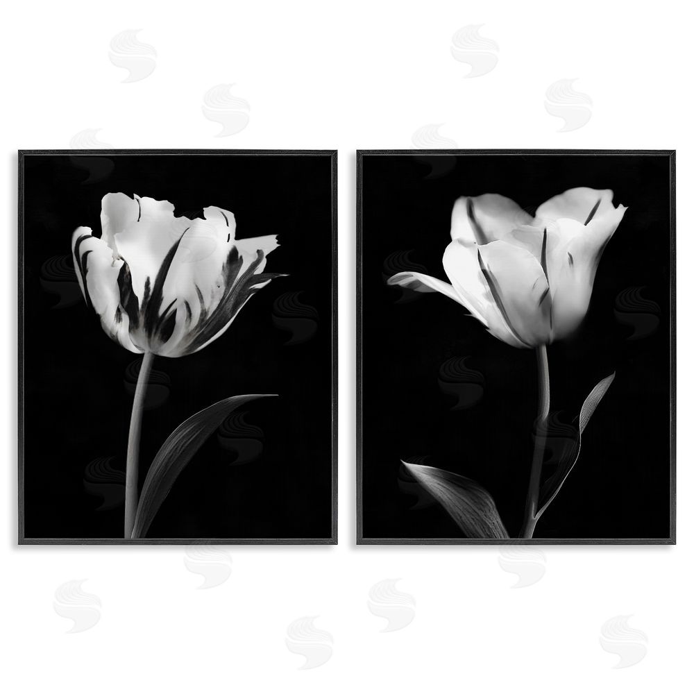 CAD Designs Contrasting Modern Flowers Black Framed Giclee Art Set