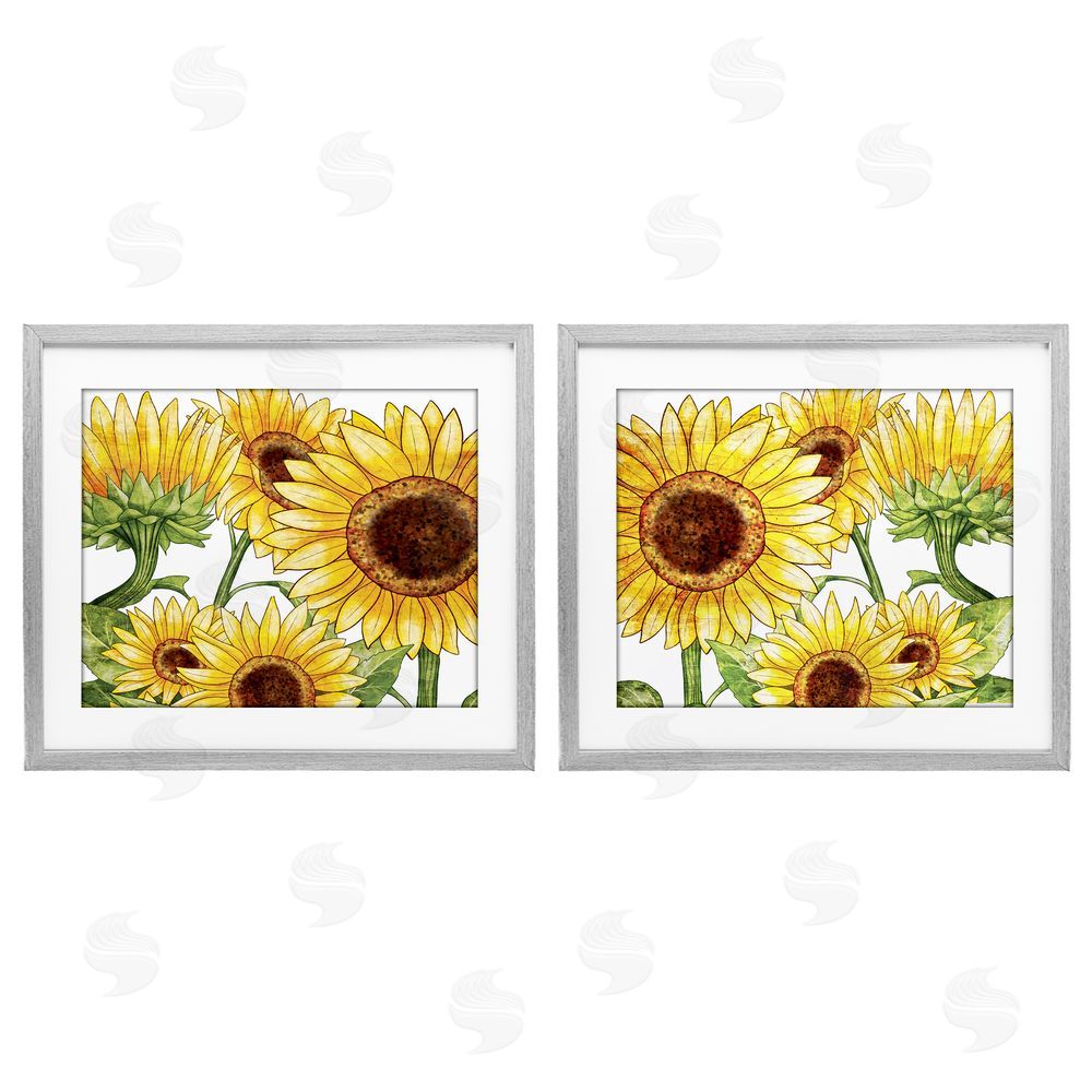 Kim Allen Warm Blossoms Yellow Sunflowers Gray Framed Print Under Glass with White Mat Wall Art