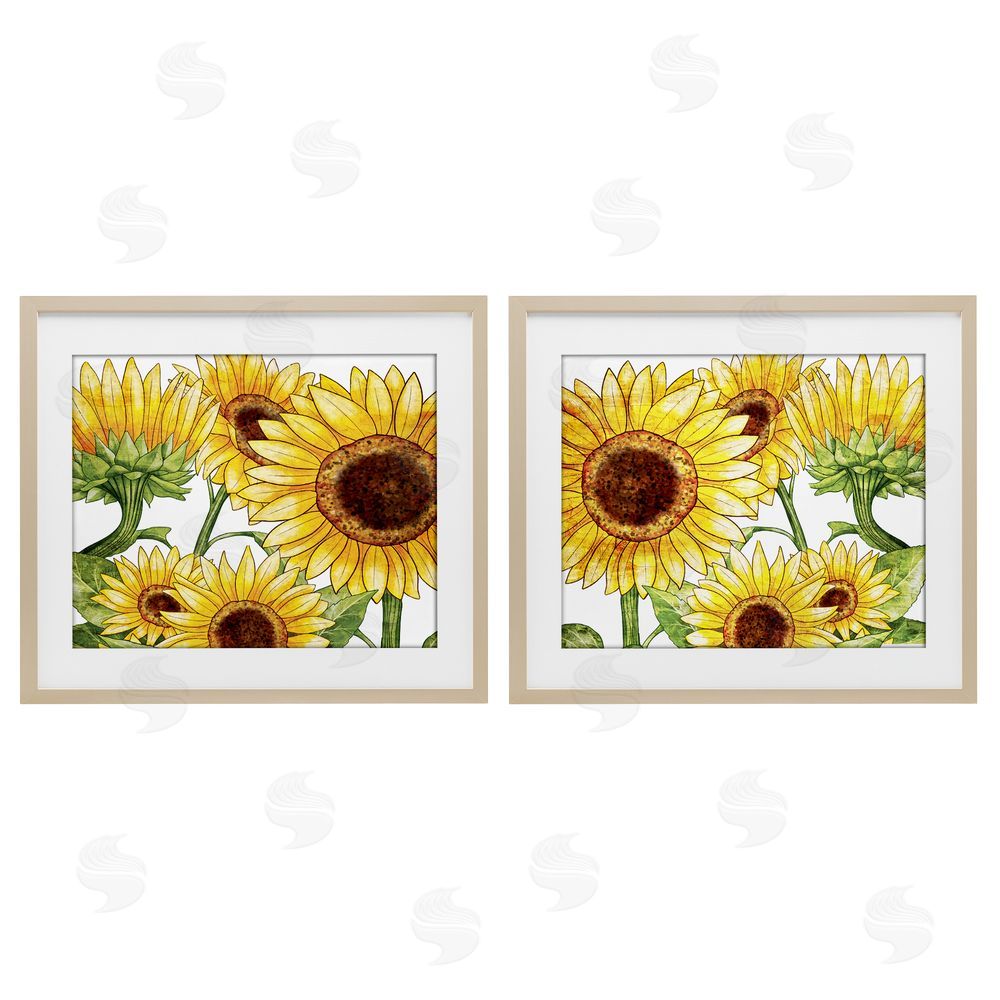 Kim Allen Warm Blossoms Yellow Sunflowers Birch Framed Print Under Glass with White Mat Wall Art