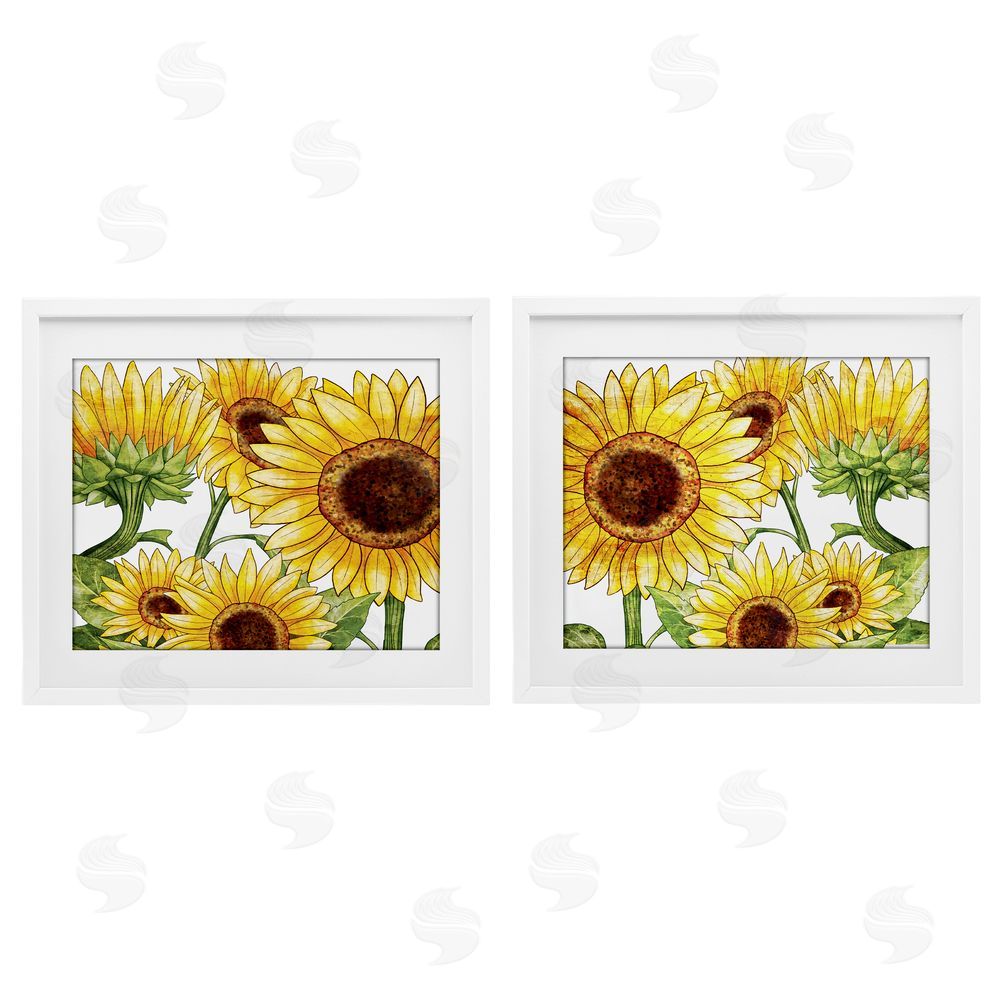 Kim Allen Warm Blossoms Yellow Sunflowers White Framed Print Under Glass with Mat Wall Art