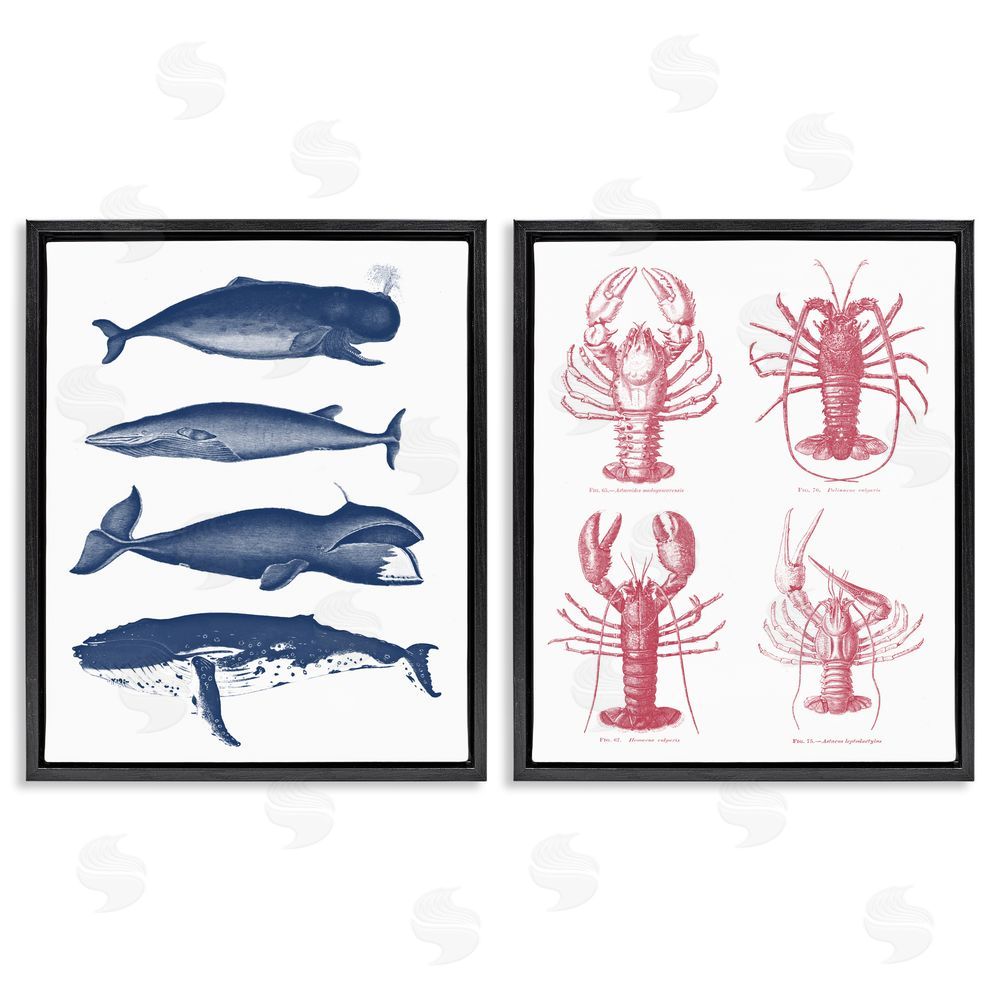 Lettered and Lined Marine Whales & Lobsters Black Floating Frame Canvas Wall Art Print
