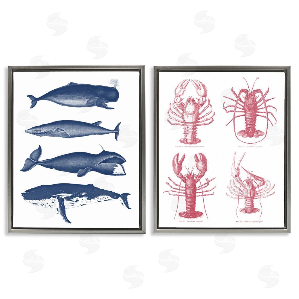 Lettered and Lined Marine Whales & Lobsters Gray Floating Frame Canvas Wall Art Print