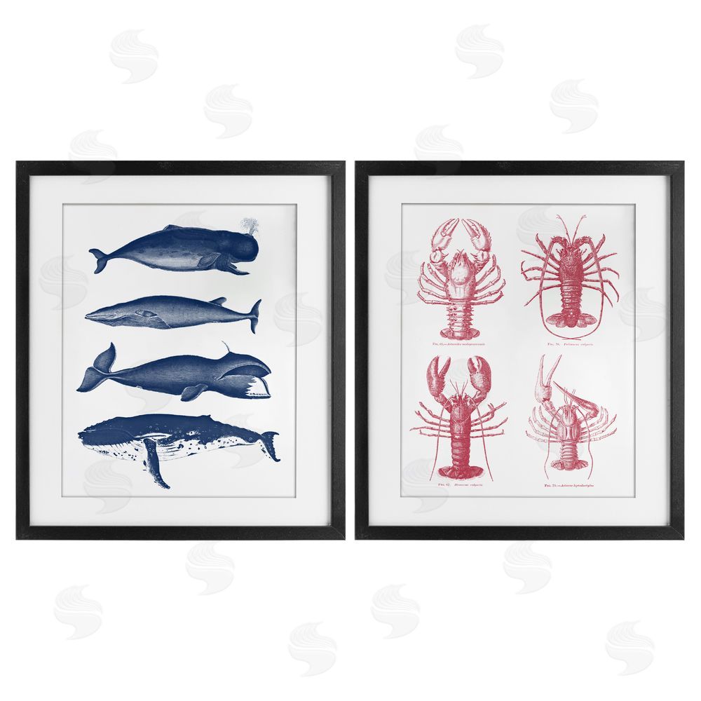 Lettered and Lined Marine Whales & Lobsters Black Framed Print Under Glass Wall Art