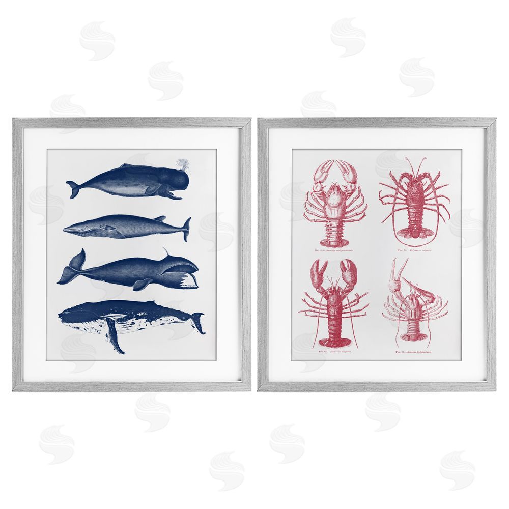 Lettered and Lined Marine Whales & Lobsters Gray Framed Print Under Glass Wall Art