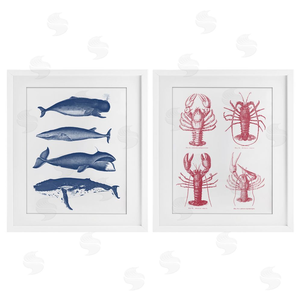 Lettered and Lined Marine Whales & Lobsters White Framed Print Under Glass Wall Art