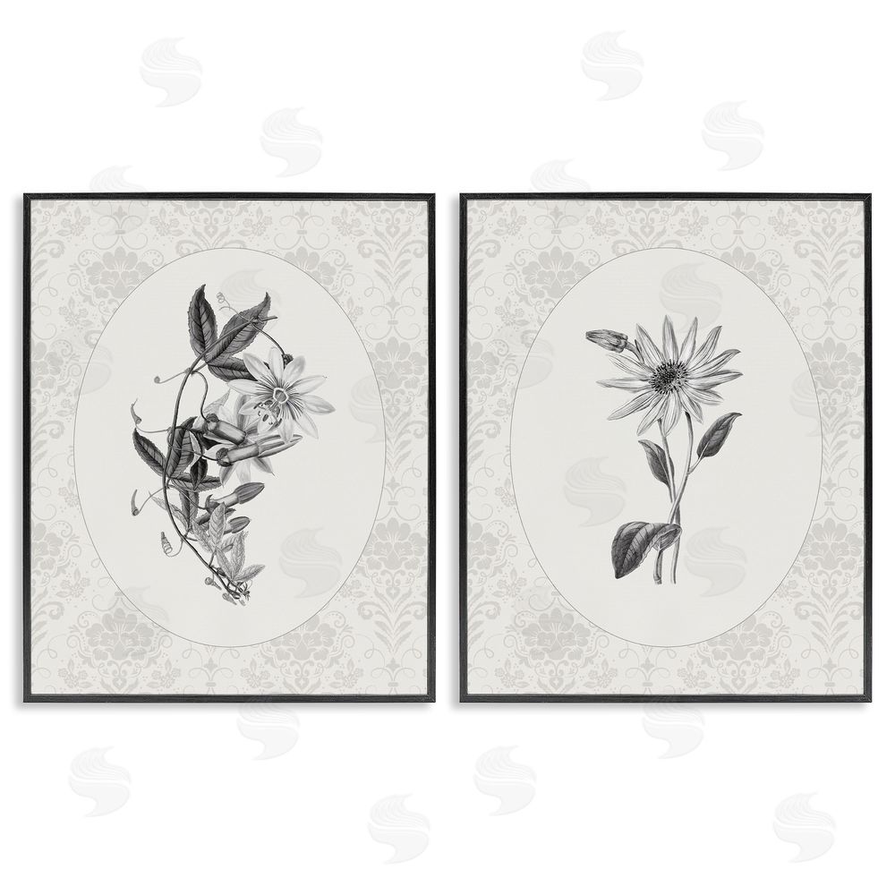 CAD Designs Vintage Flowers & Lace Black Framed Giclee Wall Art Print
