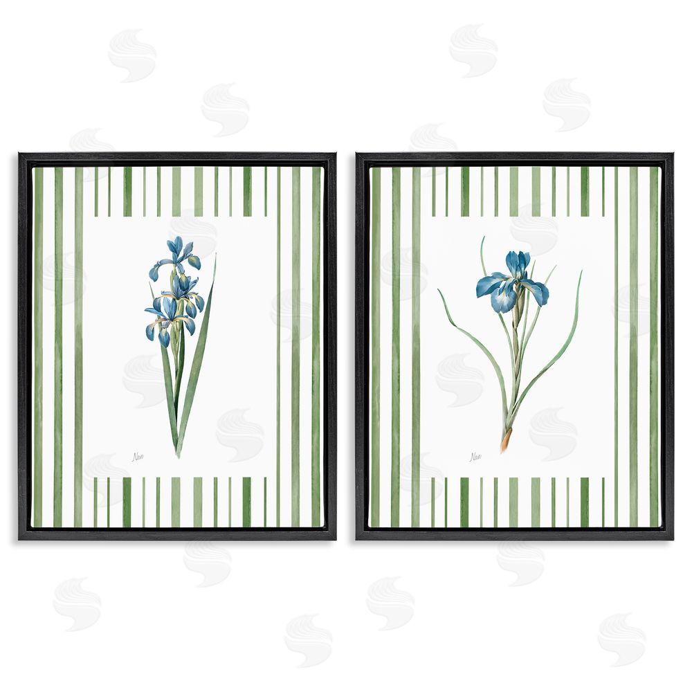 Nan Irises And Stripes Black Floating Frame Canvas Wall Art Print