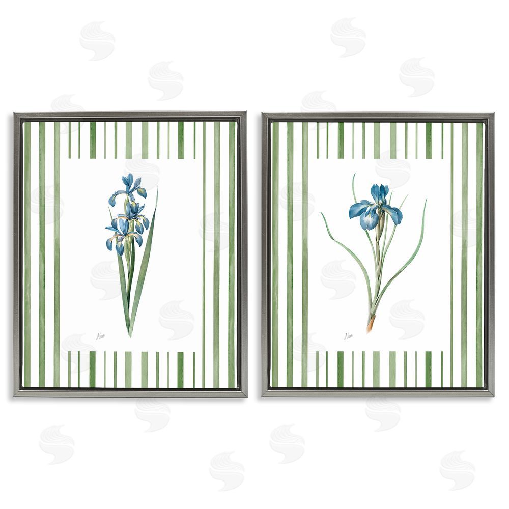 Nan Irises And Stripes Gray Floating Frame Canvas Wall Art Print
