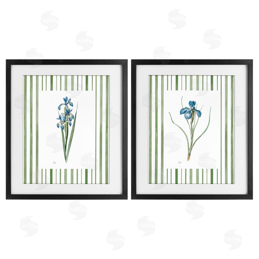 Nan Irises And Stripes Black Framed Print Under Glass Wall Art