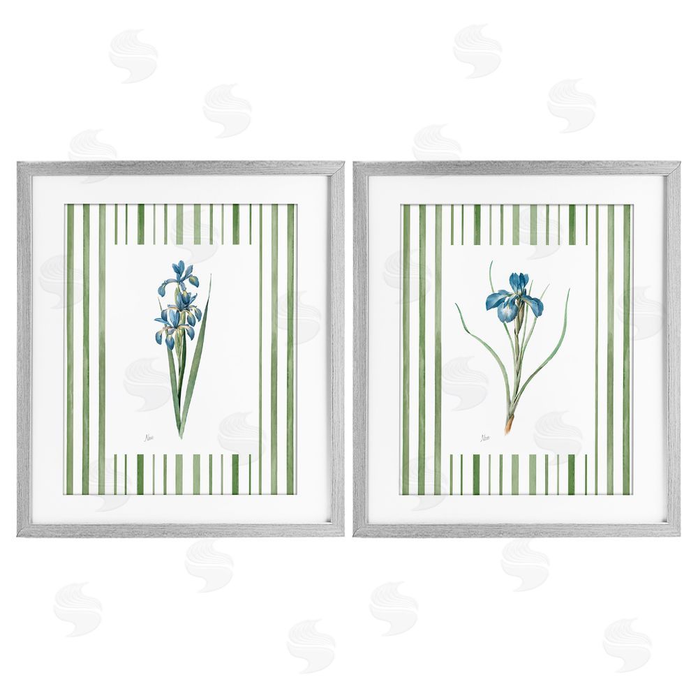 Nan Irises And Stripes Gray Framed Print Under Glass Wall Art