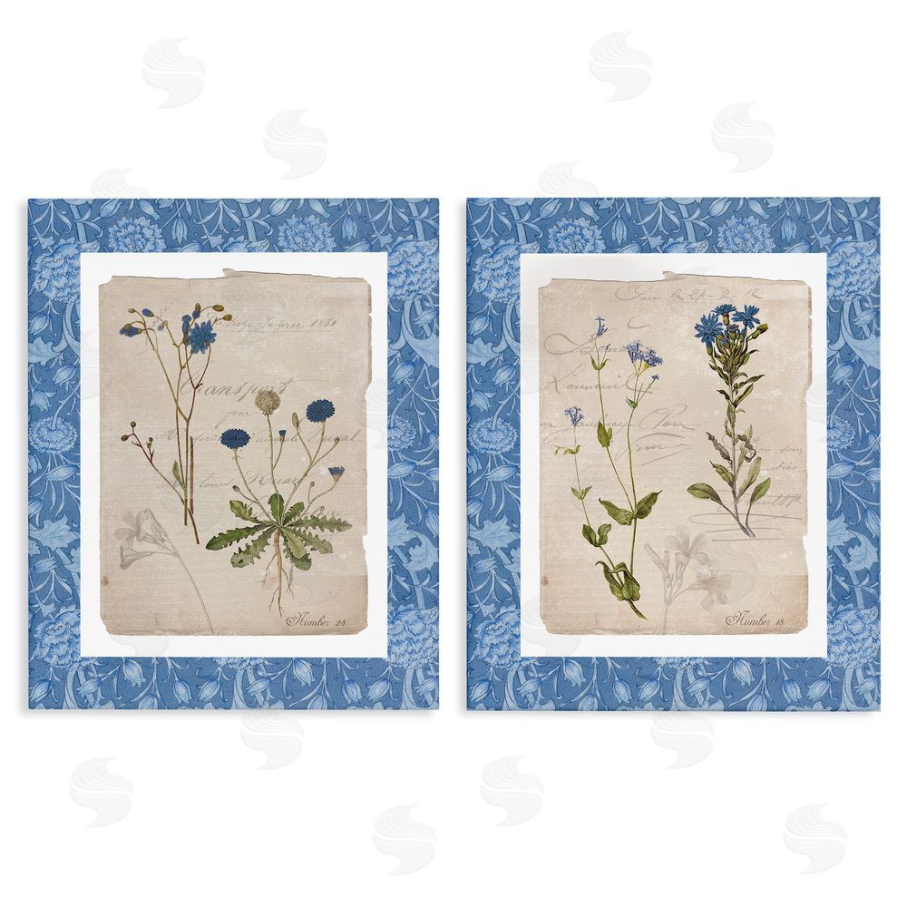 Livi Finn Blue Botanical Herbs Stretched Canvas Wall Art