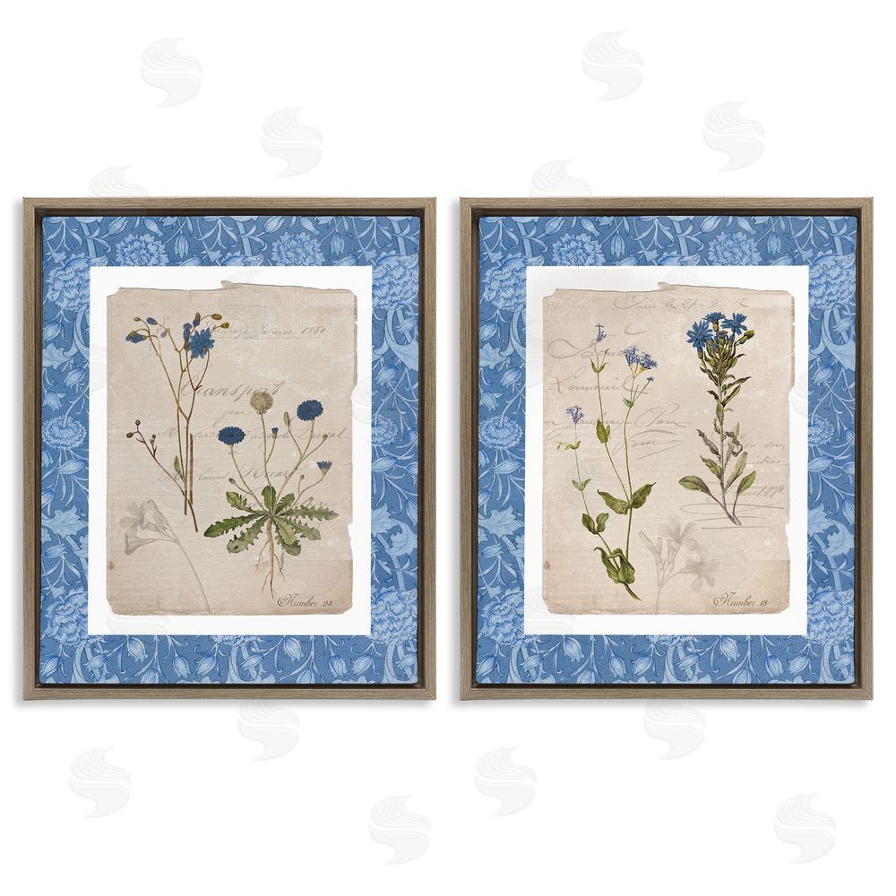 Livi Finn Blue Botanical Herbs Brown Floating Frame Canvas Wall Art Print