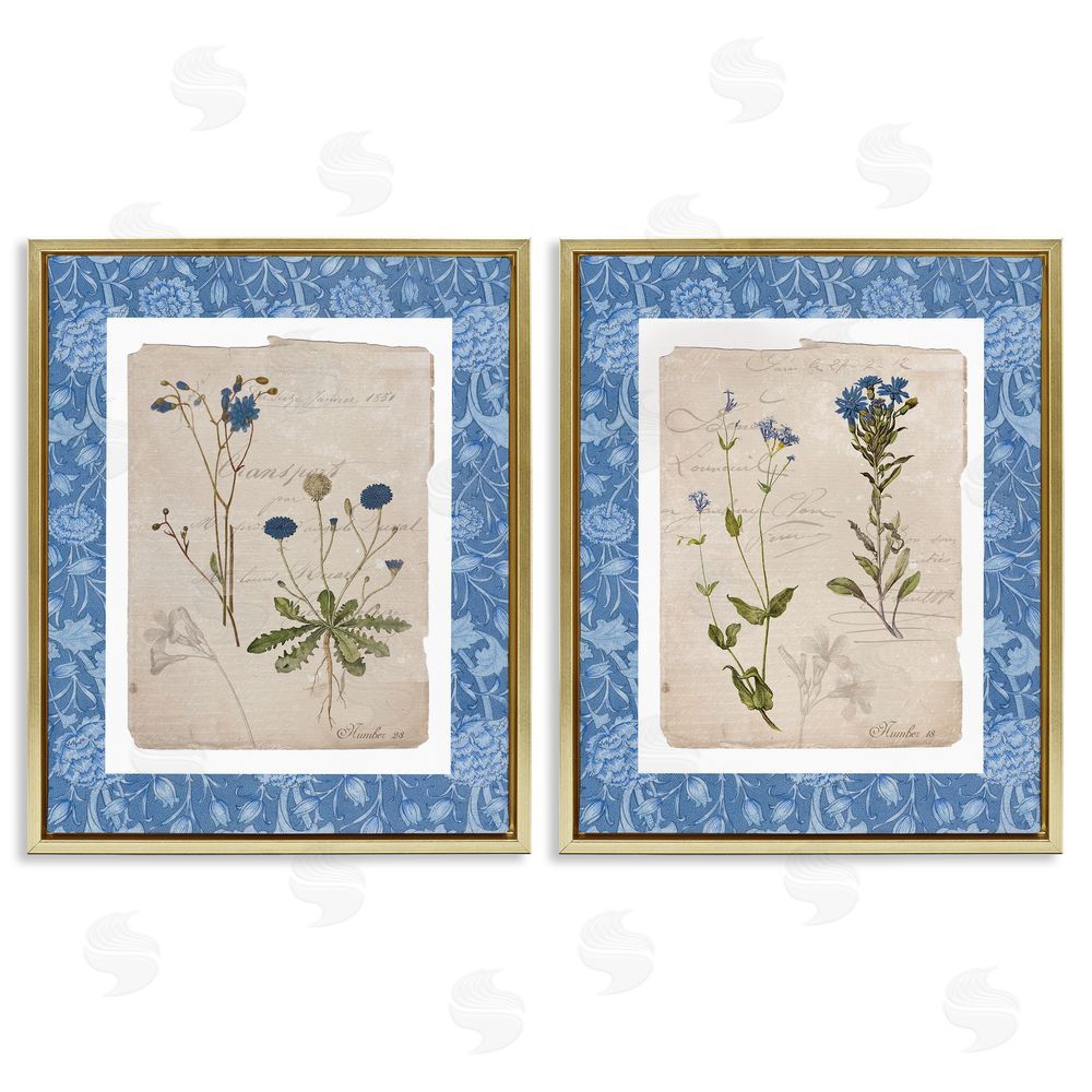 Livi Finn Blue Botanical Herbs Gold Floating Frame Canvas Wall Art Print