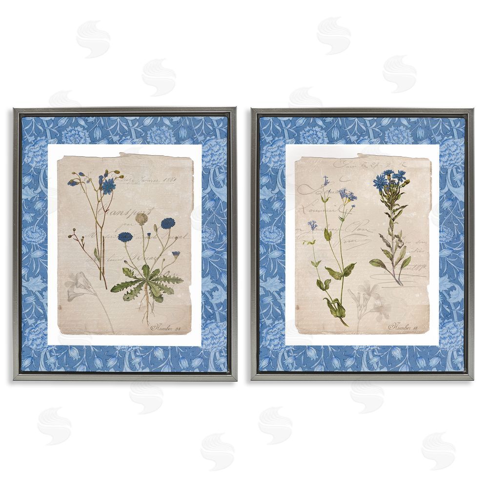 Livi Finn Blue Botanical Herbs Gray Floating Frame Canvas Wall Art Print