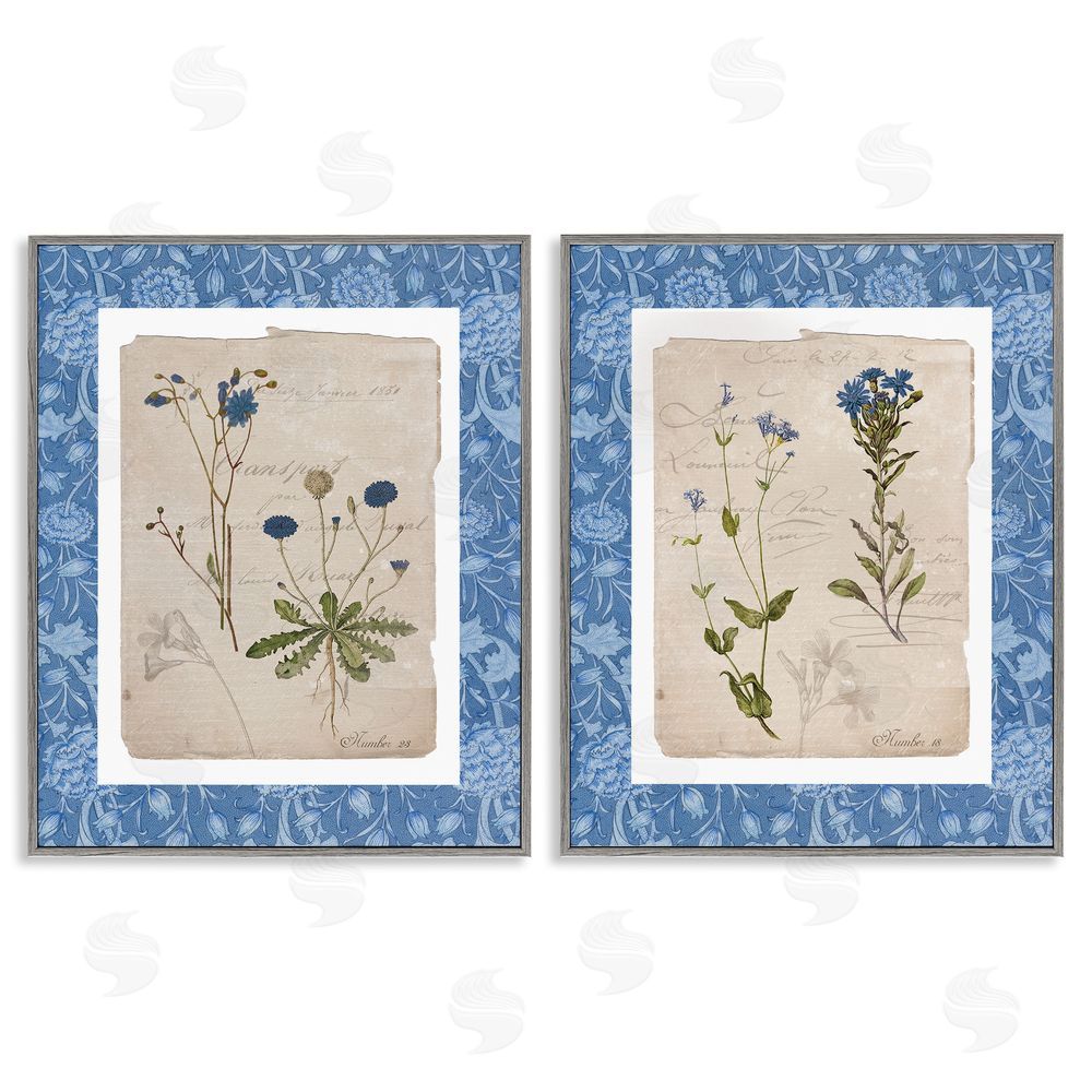 Livi Finn Blue Botanical Herbs Gray Framed Giclee Wall Art Print