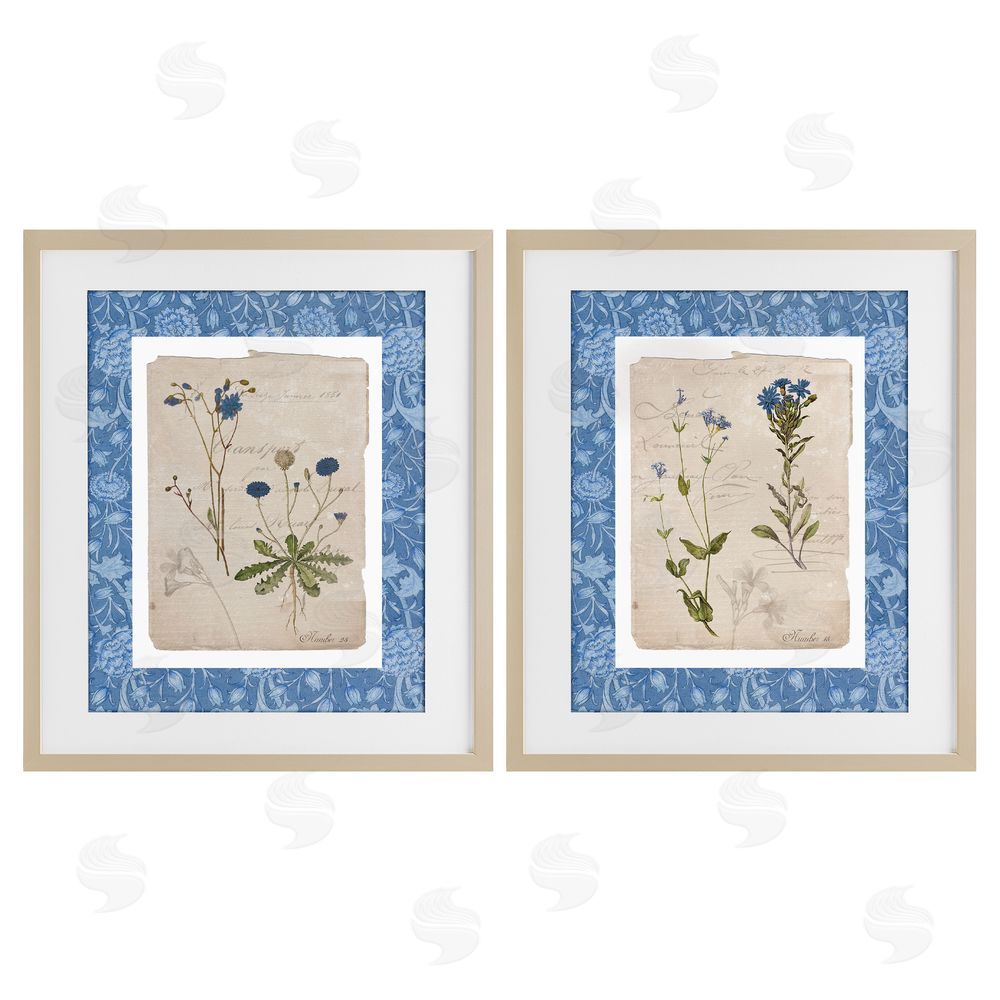 Livi Finn Blue Botanical Herbs Birch Framed Print Under Glass Wall Art
