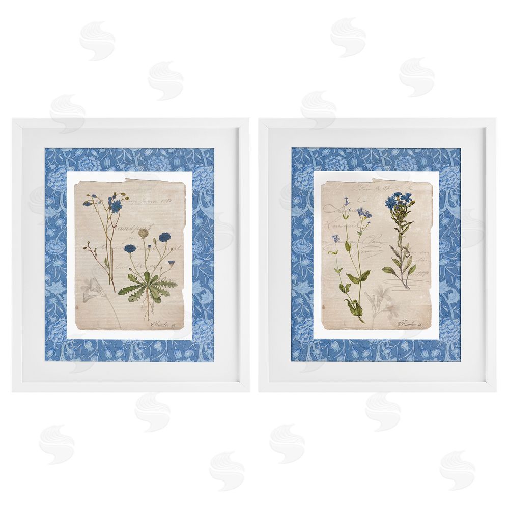 Livi Finn Blue Botanical Herbs White Framed Print Under Glass Wall Art