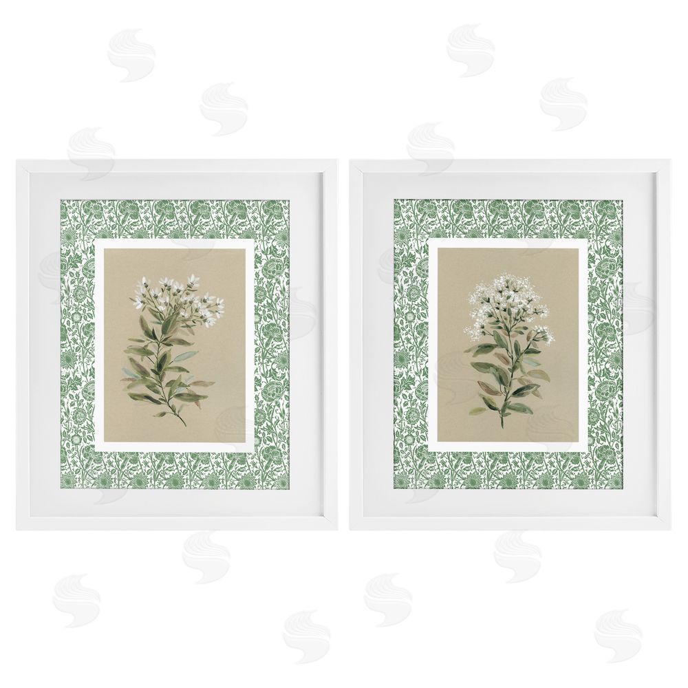 Carol Robinson Green Botanical Patterned Florals White Framed Print Under Glass Wall Art