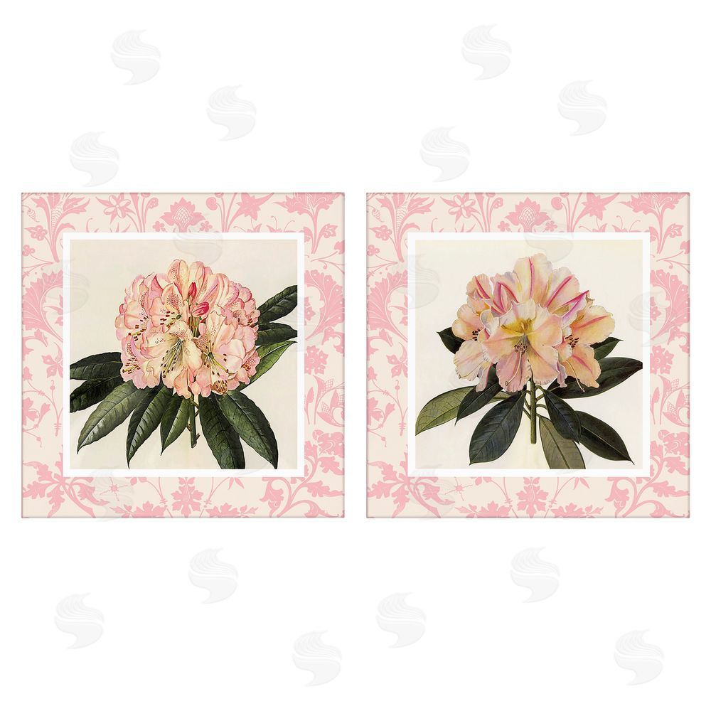 Livi Finn Pink Vintage Pattern Botanicals Stretched Canvas Wall Art Print