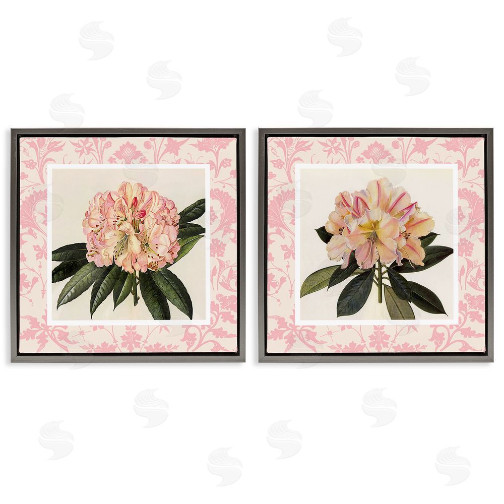 Livi Finn Pink Vintage Pattern Botanicals Gray Floating Frame Canvas Wall Art Print