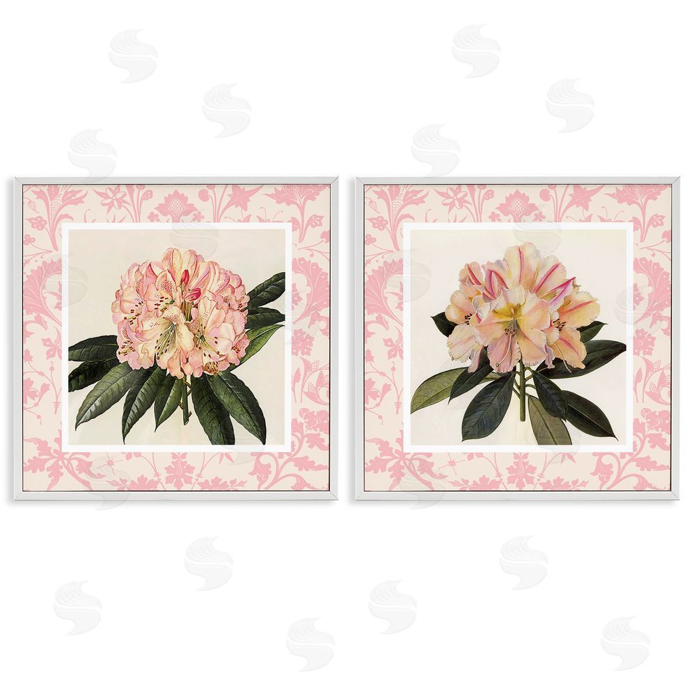 Livi Finn Pink Vintage Pattern Botanicals White Framed Giclee Wall Art Print