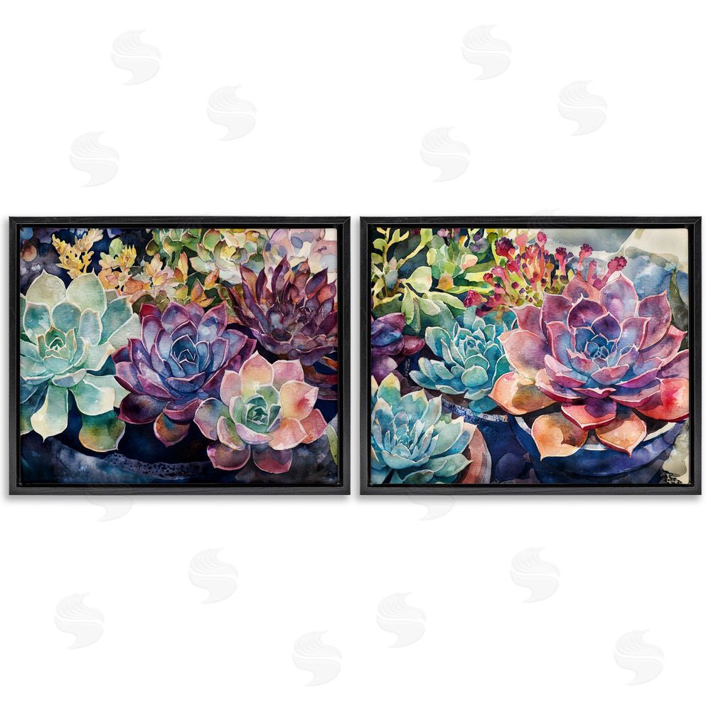 Svetlana Aleynikova Sunny Watercolor Succulents Black Floating Frame Canvas Wall Art Print