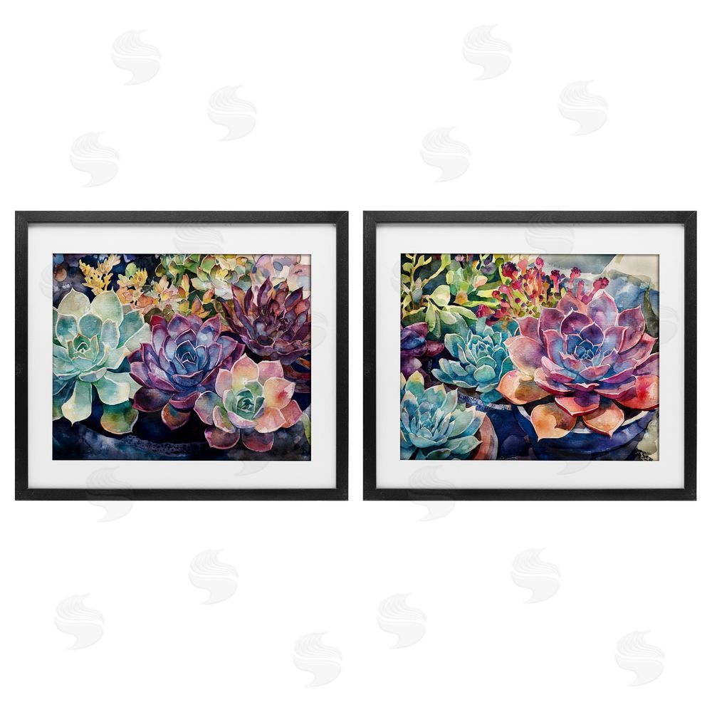 Svetlana Aleynikova Sunny Watercolor Succulents Black Framed Print Under Glass Wall Art
