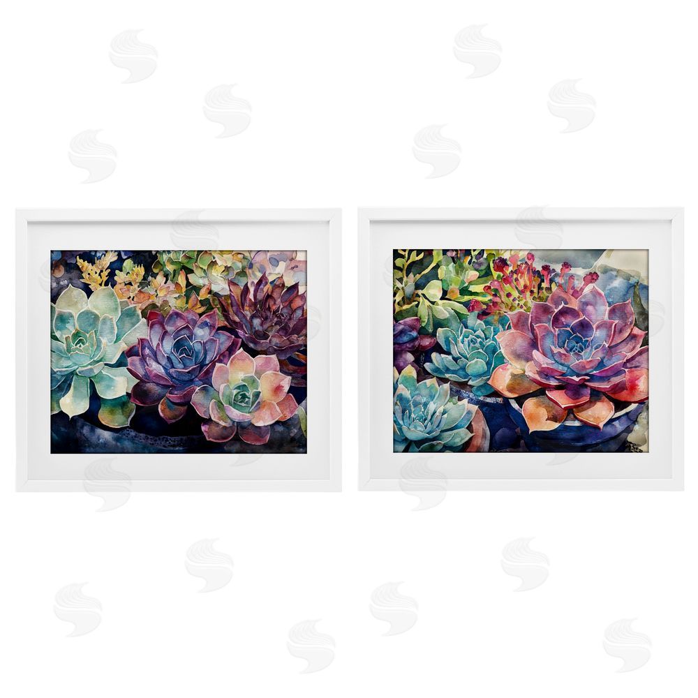 Svetlana Aleynikova Sunny Watercolor Succulents White Framed Print Under Glass Wall Art