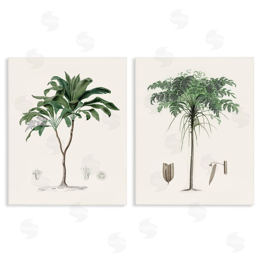 Val Rhodes Two Types of Palms Stretched Canvas Wall Art Print