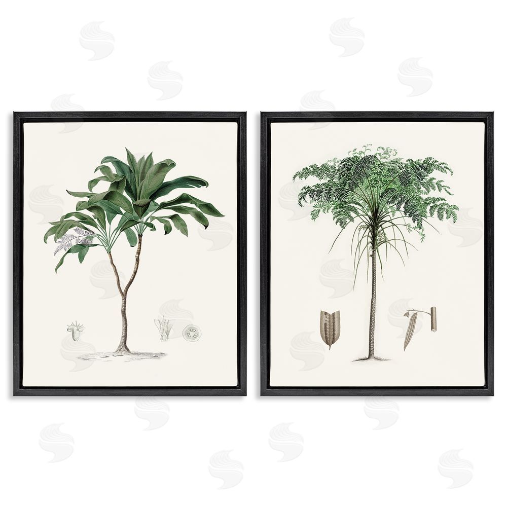 Val Rhodes Two Types of Palms Black Floating Frame Canvas Wall Art Print