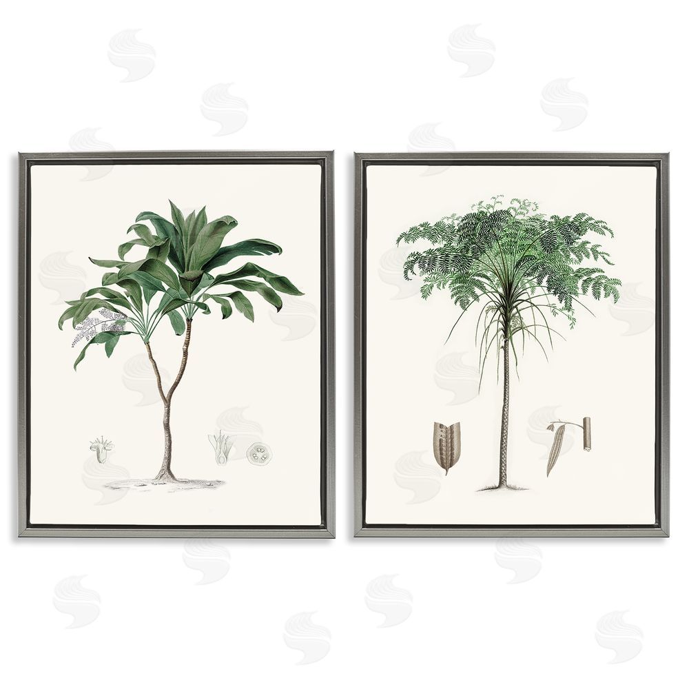 Val Rhodes Two Types of Palms Gray Floating Frame Canvas Wall Art Print