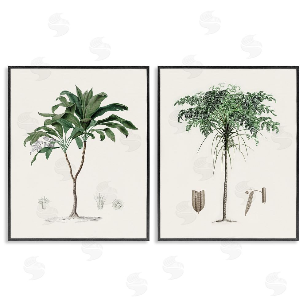 Val Rhodes Two Types of Palms Black Framed Giclee Wall Art Print